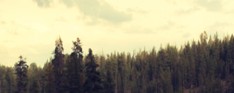 Falsi e veri invalidi, solo il rigore medico può risolvere.