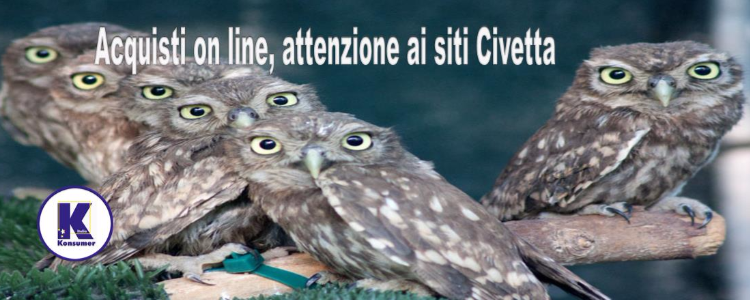 Acquisti on line, attenzione ai siti civetta