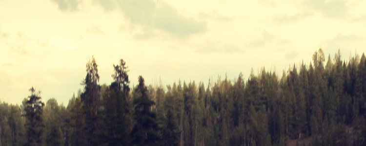 Mister Previo 3/4 - rischio sismico