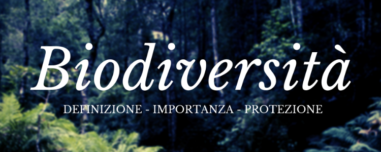 Biodiversità: definizione, importanza e protezione
